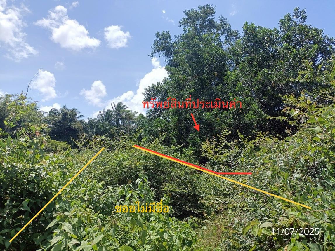 picture LAND for sale  Wang Maprang Nua Wang Wiset Trang - 18/24