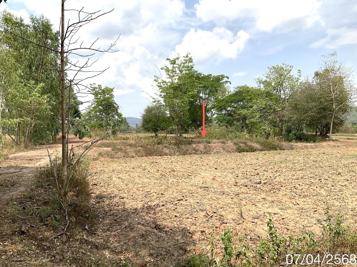 picture LAND for sale  Dong Chen Phu Kam Yao Phayao - 16/24