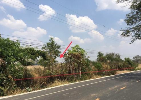 picture LAND for sale  Nong Tat Muang Buri Ram Buri Ram - 11/14