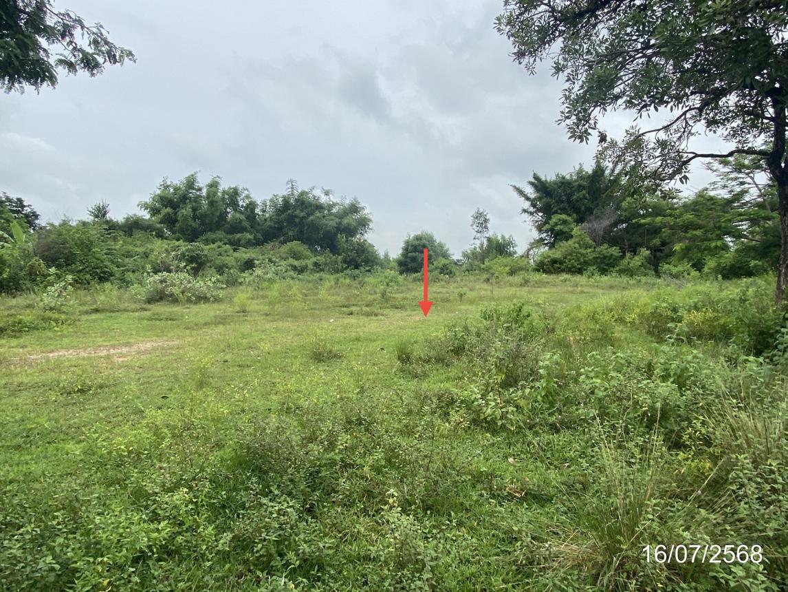 picture LAND for sale  Kham Yai Huai Mek Kalasin - 14/24