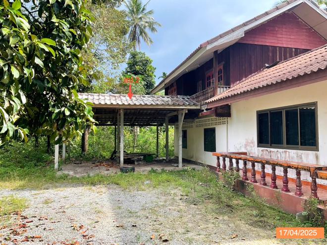 รูป บ้านเดี่ยว สำหรับขาย - ไทยบุรี ท่าศาลา นครศรีธรรมราช - รูปที่ 3/16