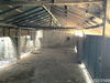 listing thumbnail image 12