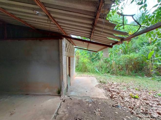 รูป บ้านเดี่ยว สำหรับขาย - เขาดิน เขาพนม กระบี่ - รูปที่ 10/26
