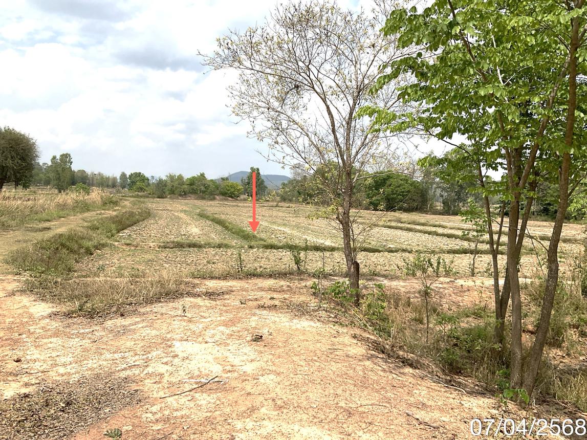 picture LAND for sale  Dong Chen Phu Kam Yao Phayao - 17/24