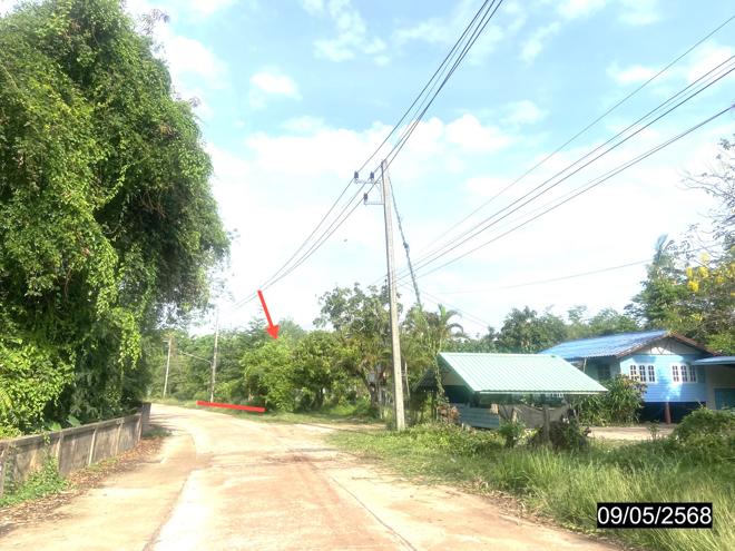 รูป บ้านเดี่ยว สำหรับขาย - ศรีสุทโธ บ้านดุง อุดรธานี - รูปที่ 8/20