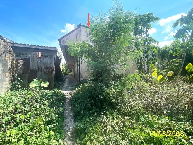 รูป บ้านเดี่ยว สำหรับขาย - ย่านตาขาว ย่านตาขาว ตรัง - รูปที่ 2/44