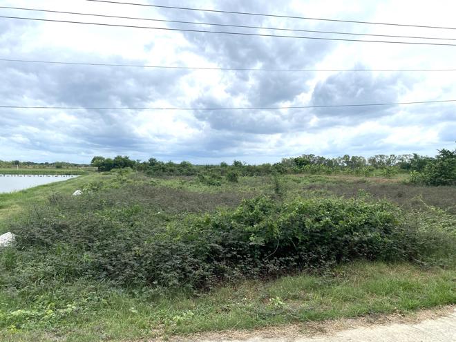 picture LAND for sale  Thanon Khat Muang Nakhon Pathom Nakhon Pathom - 3/10