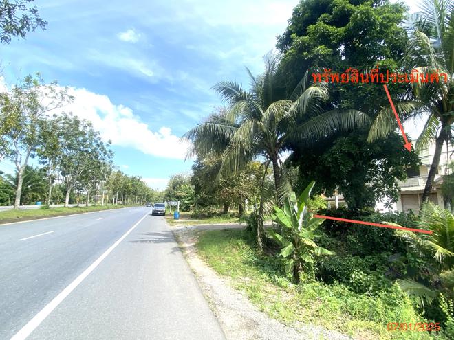 picture HOME for sale  Nong Chang Laen Huai Yot Trang - 5/14