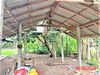 listing thumbnail image 31