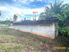 listing thumbnail image 19