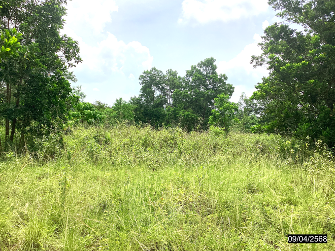 picture LAND for sale  Khron Sawi Chumphon - 7/18