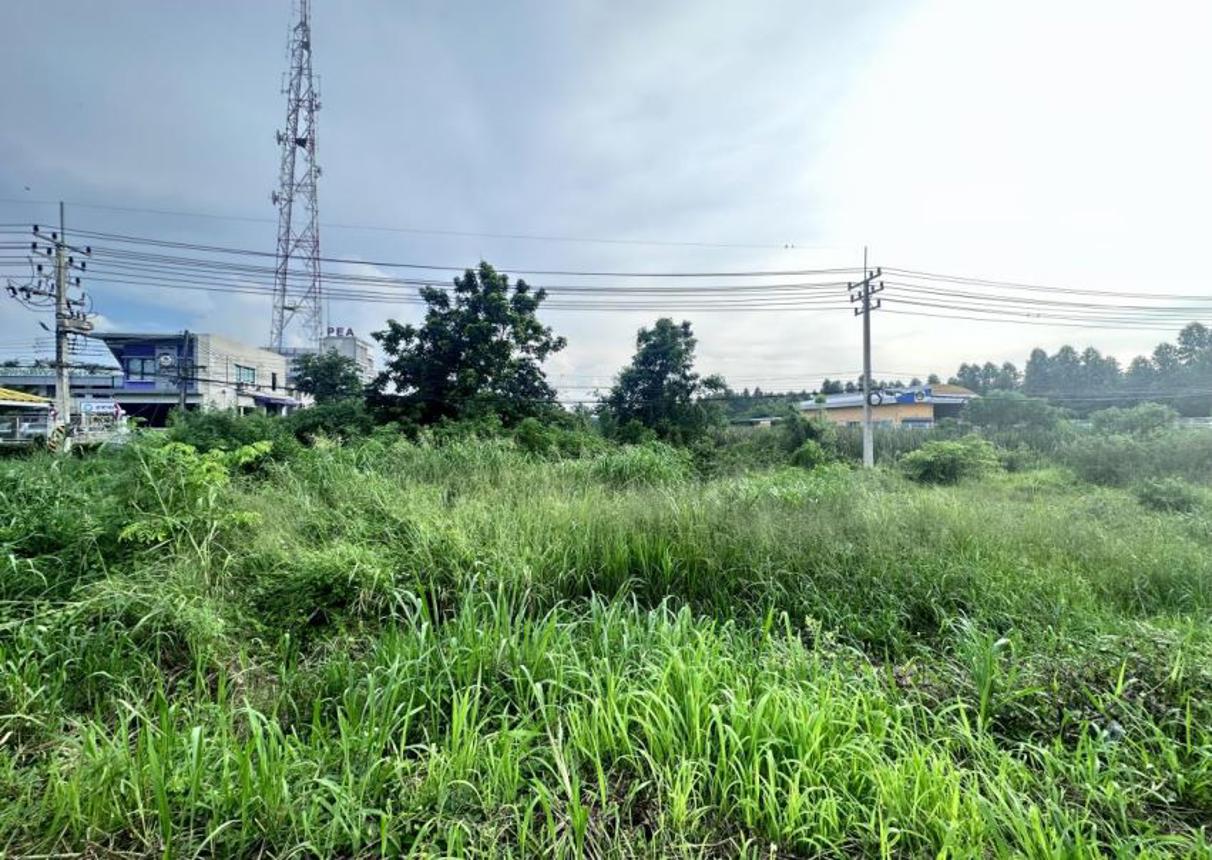 picture LAND for sale  Sa Kaeo Muang Sa Kaeo Srakaeo - 4/10