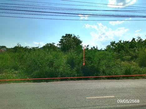 รูป ที่ดินว่างเปล่า สำหรับขาย - รอบเวียง เมืองเชียงราย เชียงราย - รูปที่ 19/22