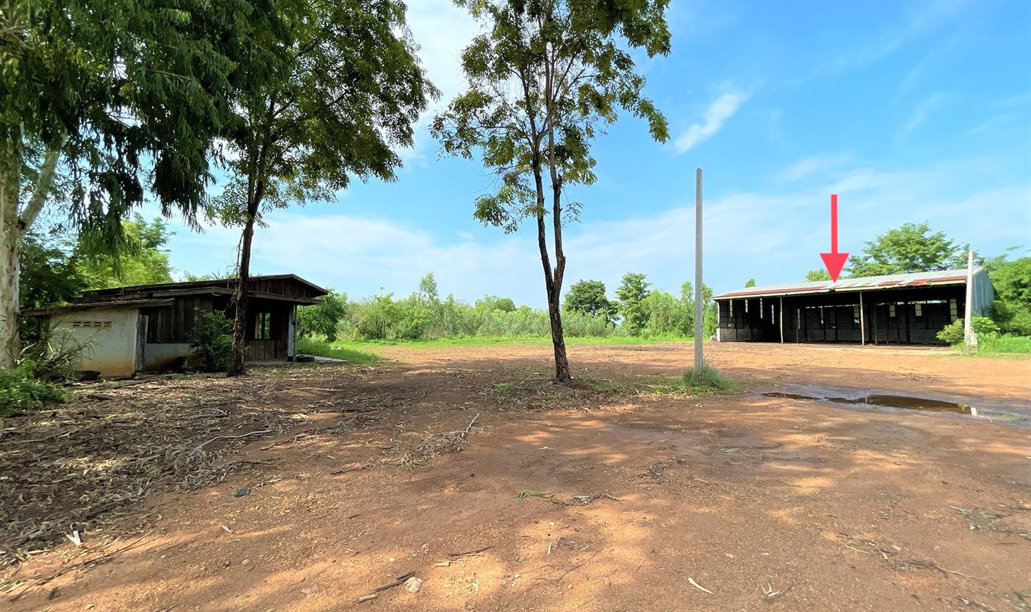 รูป โกดัง สำหรับขาย - บ้านโภชน์ หนองไผ่ เพชรบูรณ์ - รูปที่ 16/32