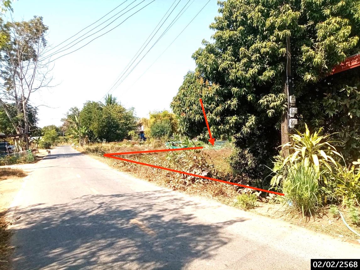 picture LAND for sale  Song Dao Song Dao Sakon Nakhon - 8/18