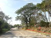 listing thumbnail image 14