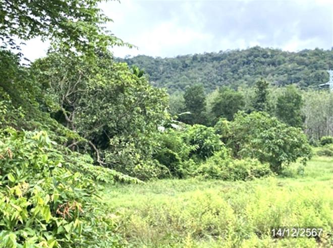 picture LAND for sale  Khuan Sato Khuan Don Satun - 8/24