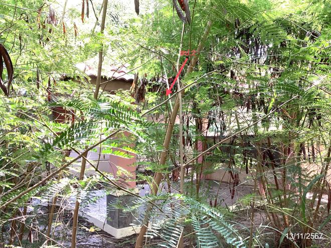 รูป บ้านเดี่ยว สำหรับขาย - หัวหิน หัวหิน ประจวบคีรีขันธ์ - รูปที่ 14/38
