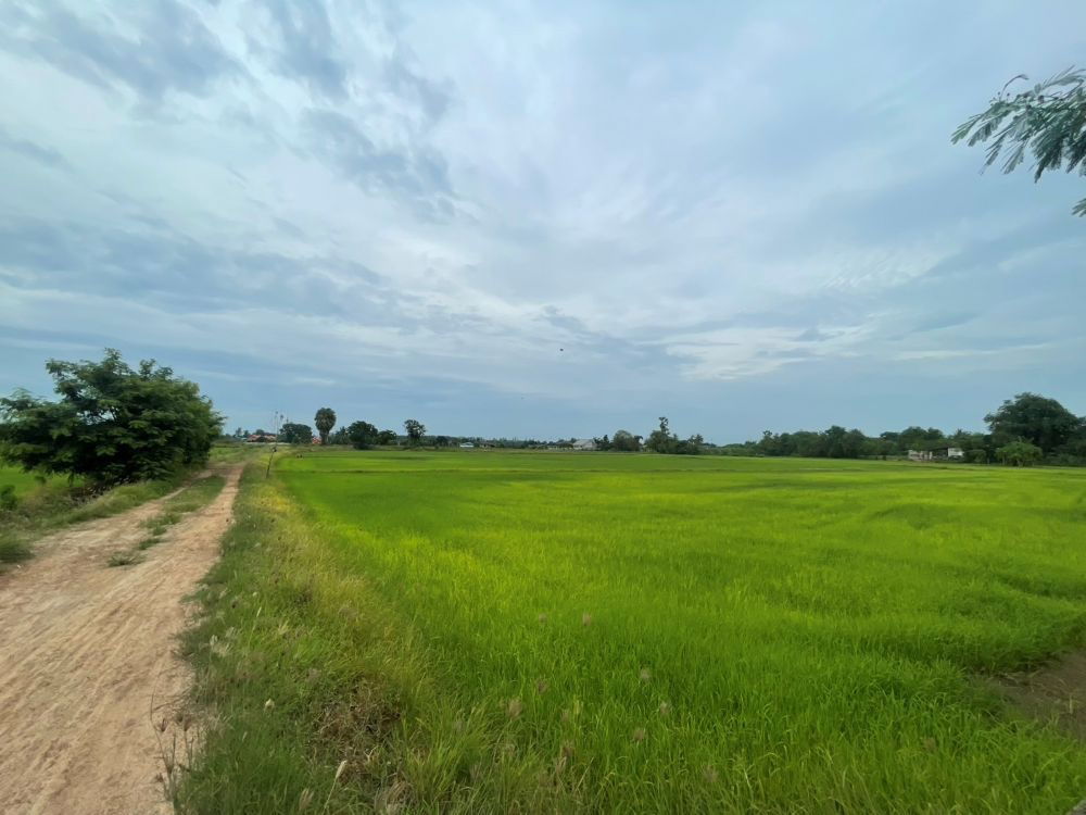 รูป ขายที่ดินเปล่า ขนาด 24 ไร่ ทำเลทอง บรรยากาศร่มรื่น ใกล้แหล่งชุมชน ต.หัวสำโรง ฉะเชิงเทรา - รูปที่ 2/15