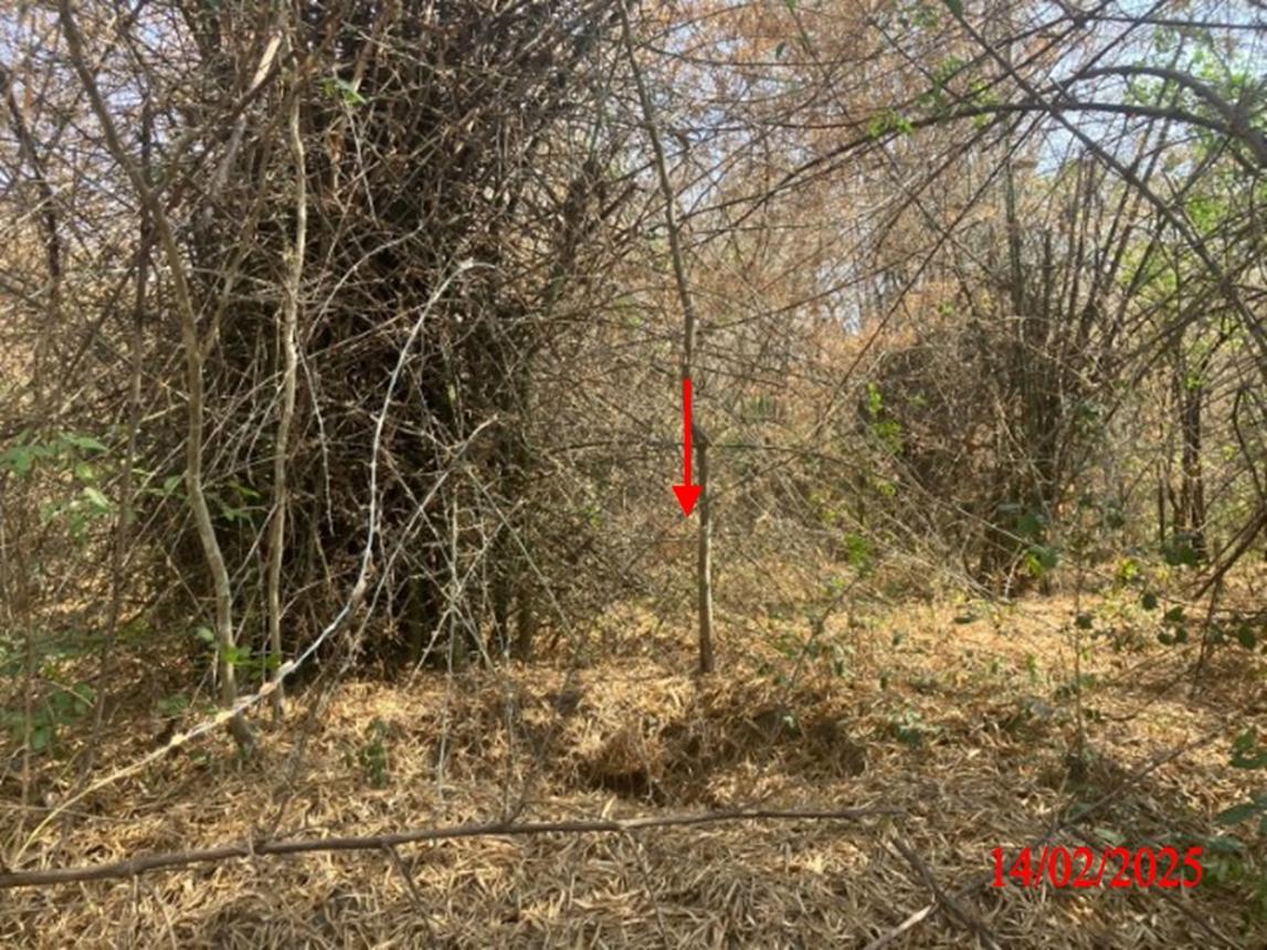 picture LAND for sale  Phichai Muang Lampang Lamphang - 15/24