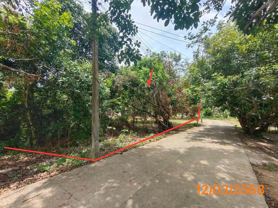 รูป บ้านเดี่ยว สำหรับขาย - หนองทะเล เมืองกระบี่ กระบี่ - รูปที่ 15/20