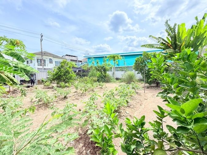 Land for sale, 63 sq wah, Thawi Watthana