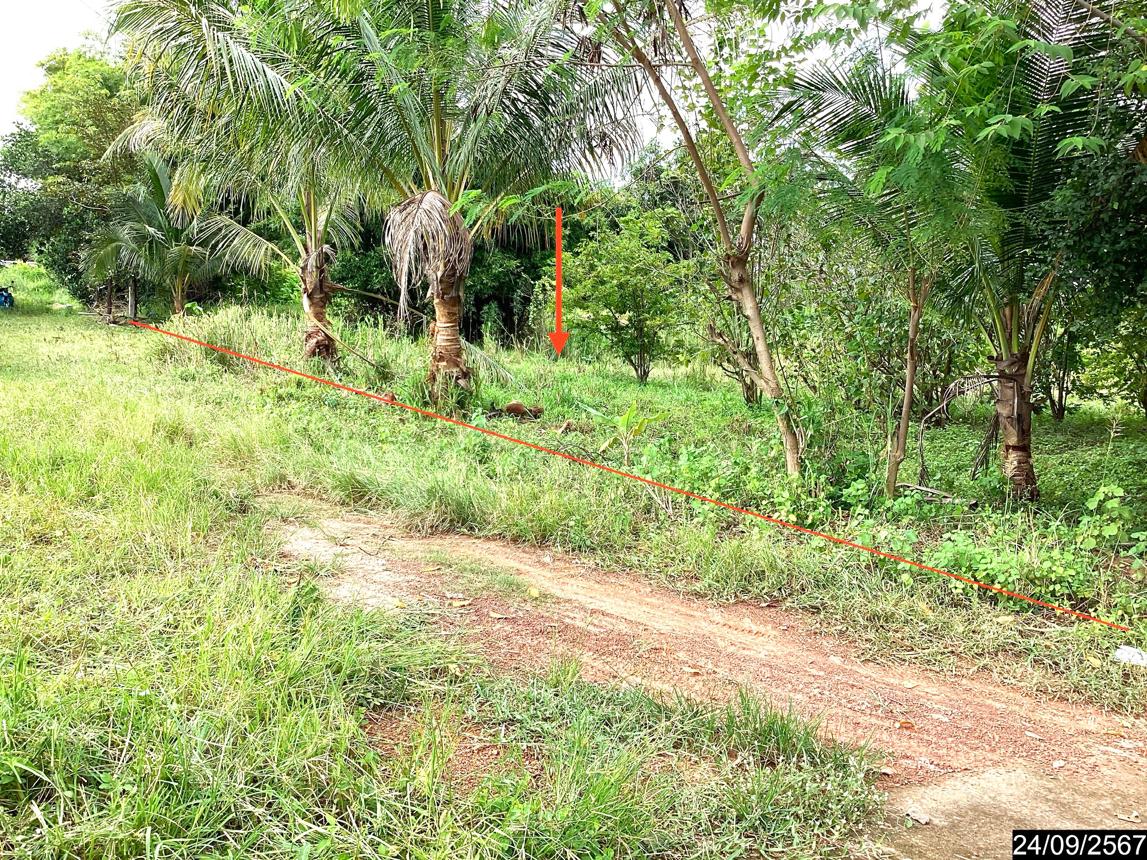 picture LAND for sale  Kham Khok Sung Wang Sam Mo Udon Thani - 12/18