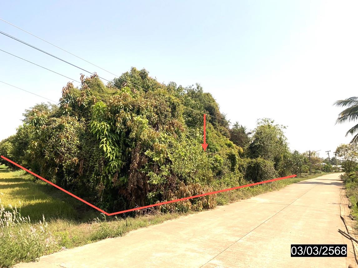 รูป บ้านเดี่ยว สำหรับขาย เขาปรัง ดงประคำ พรหมพิราม พิษณุโลก - รูปที่ 20/24