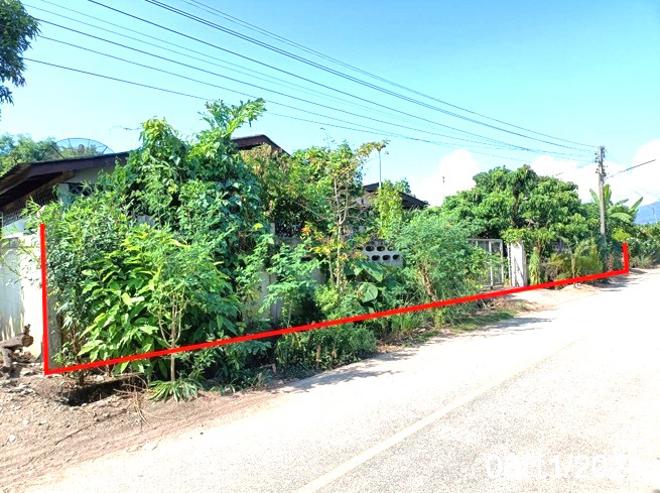 picture HOME for sale  Mae Kha Fang Chiang Mai - 7/24