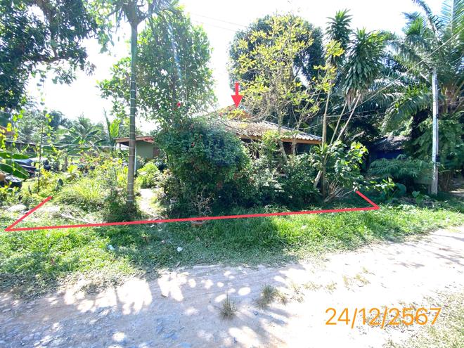 รูป บ้านเดี่ยว สำหรับขาย - ศาลาด่าน เกาะลันตา กระบี่ - รูปที่ 2/16