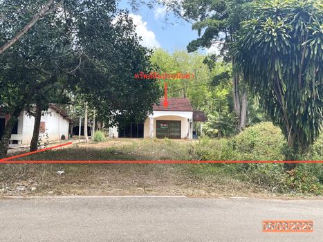 รูป บ้านเดี่ยว สำหรับขาย - บ้านนา ปะเหลียน ตรัง - รูปที่ 17/20
