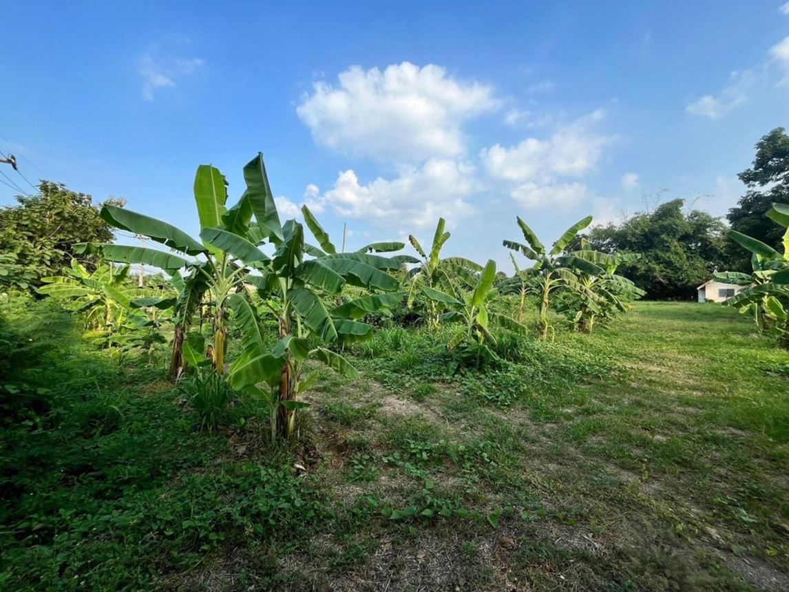 รูป บ้านเดี่ยว สำหรับขาย  ดอนรวก ดอนตูม นครปฐม - รูปที่ 9/14