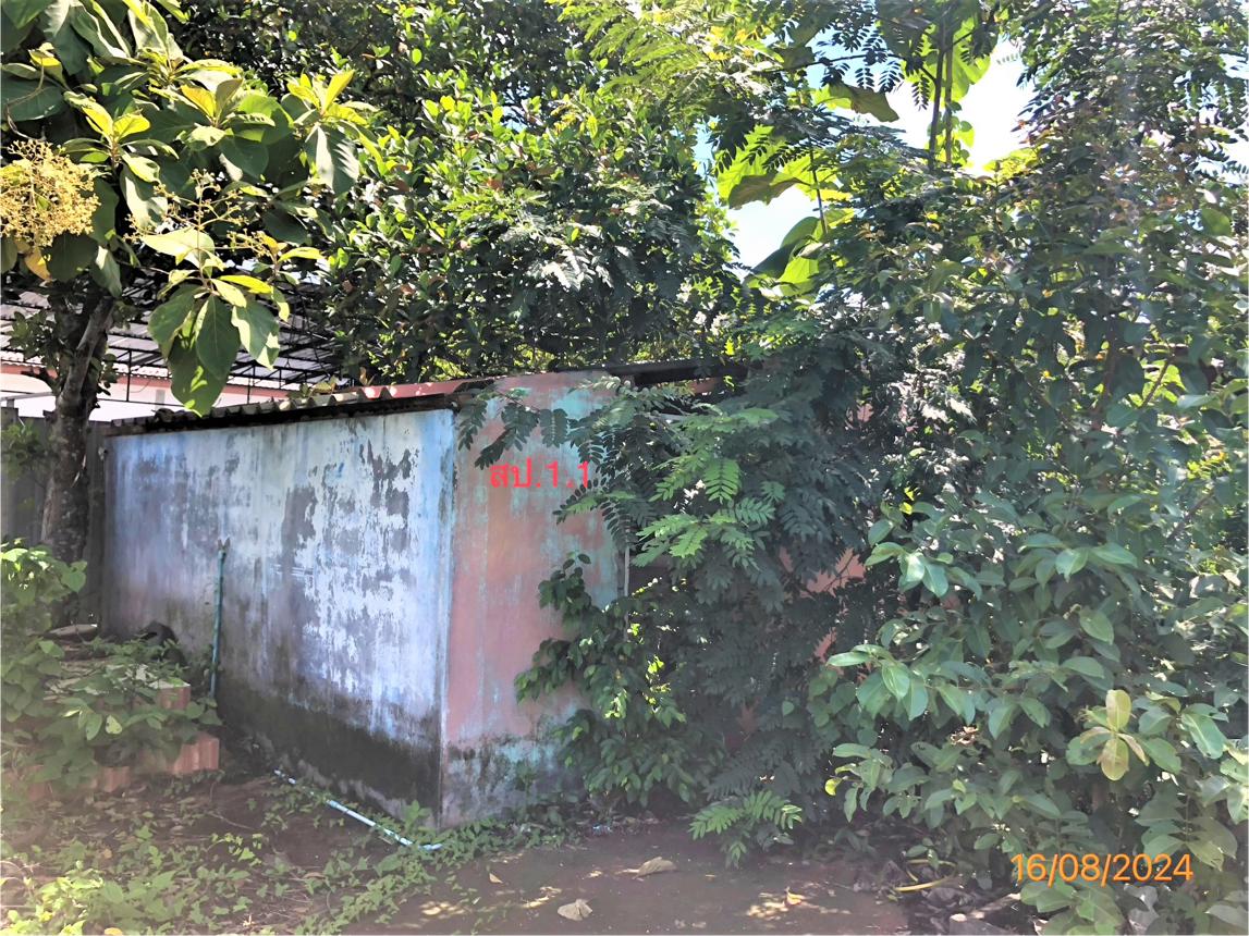 รูป บ้านเดี่ยว สำหรับขาย - มะขามเตี้ย เมืองสุราษฎร์ธานี สุราษฎร์ธานี - รูปที่ 19/32