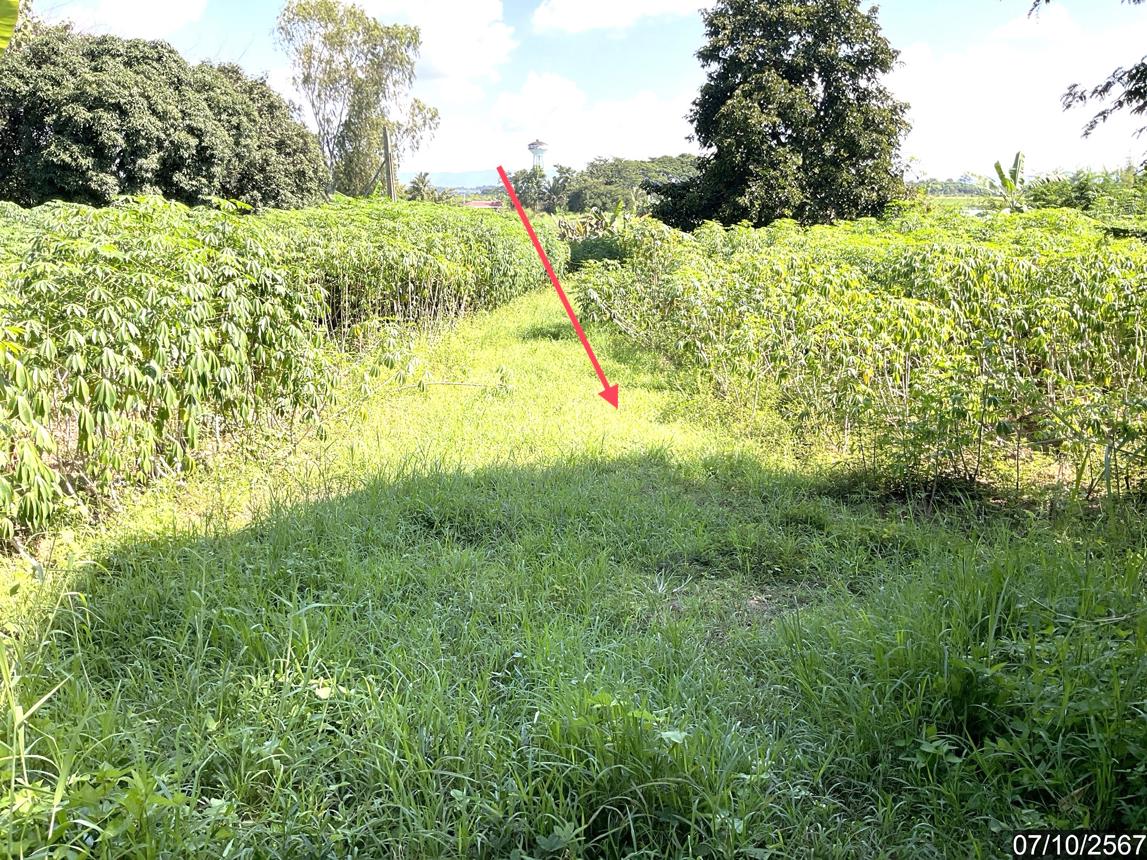 picture LAND for sale  Wiang Chai Wiang Chai Chiang Rai - 11/22