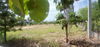 listing thumbnail image 6