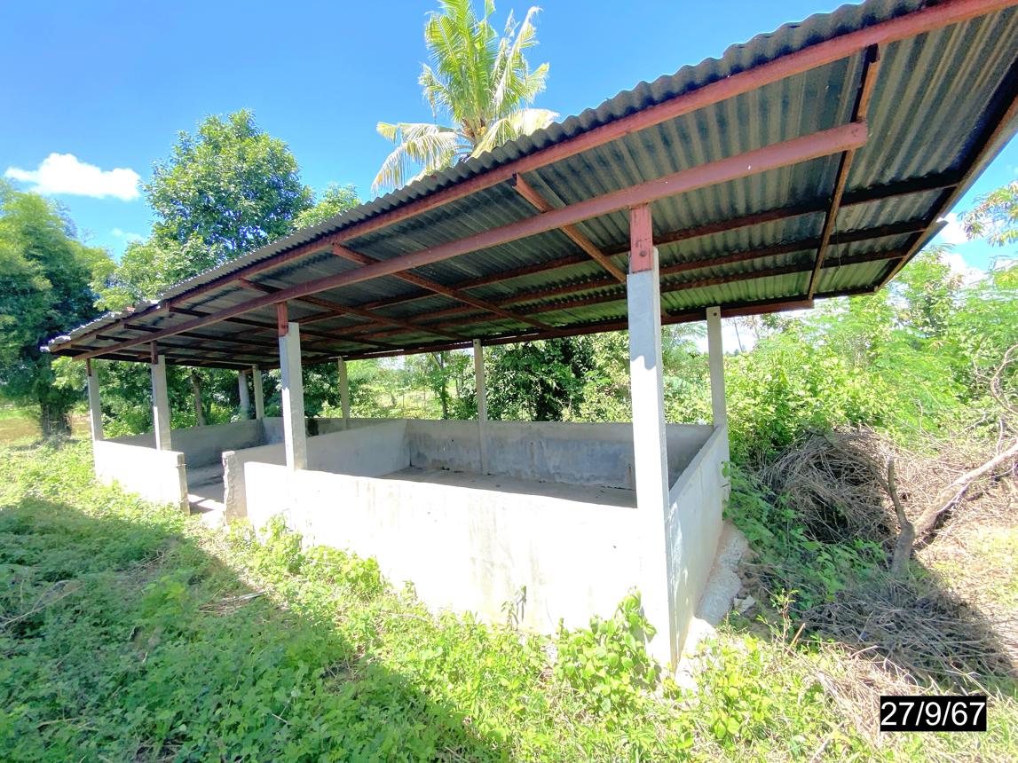 picture HOME for sale  Kwang Chon Phu Khieo Chaiyaphum - 30/36