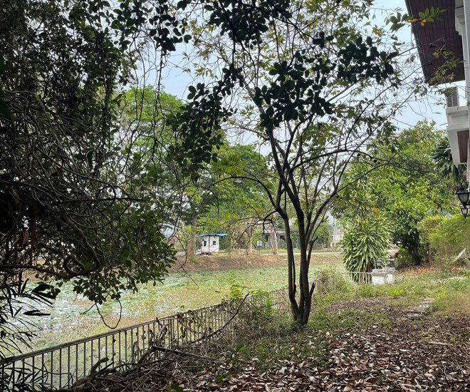 picture HOME for sale  San Phi Sua Muang Chiang Mai Chiang Mai - 3/18