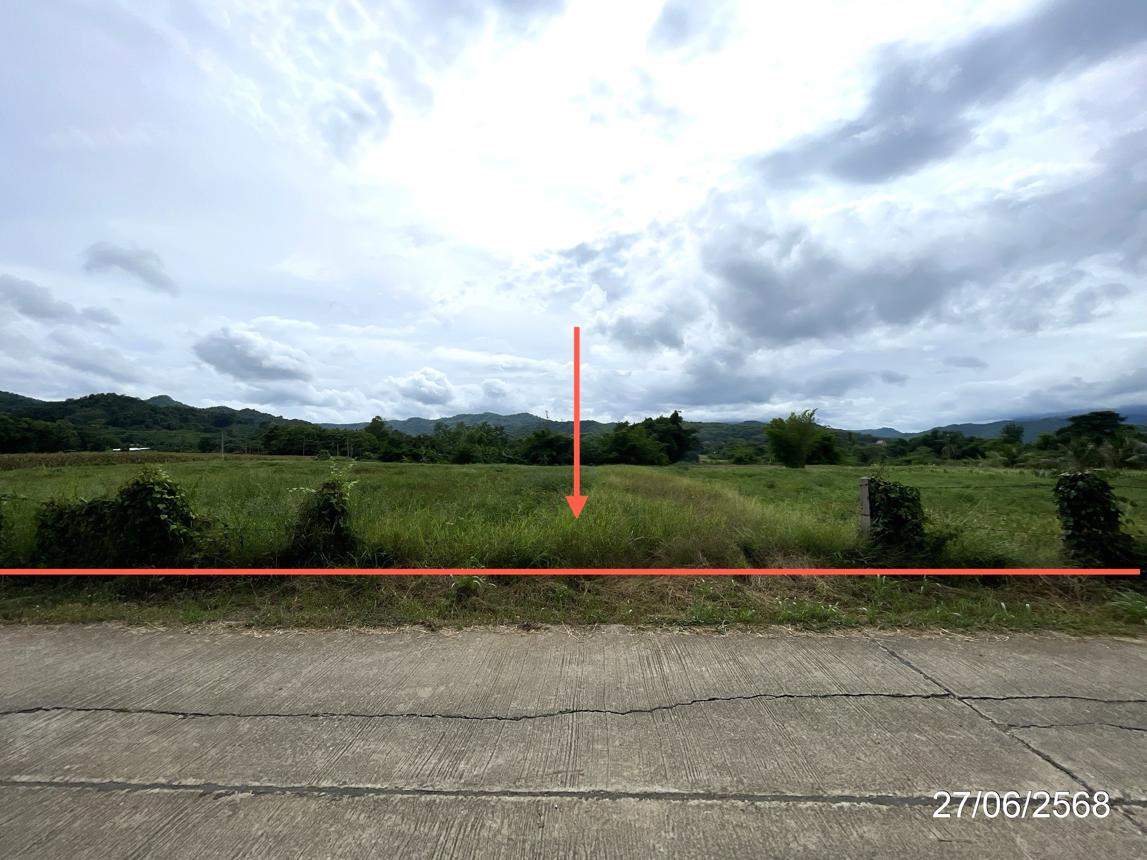 รูป ที่ดินว่างเปล่า สำหรับขาย - วังชมภู เมืองเพชรบูรณ์ เพชรบูรณ์ - รูปที่ 19/24