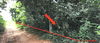 listing thumbnail image 33