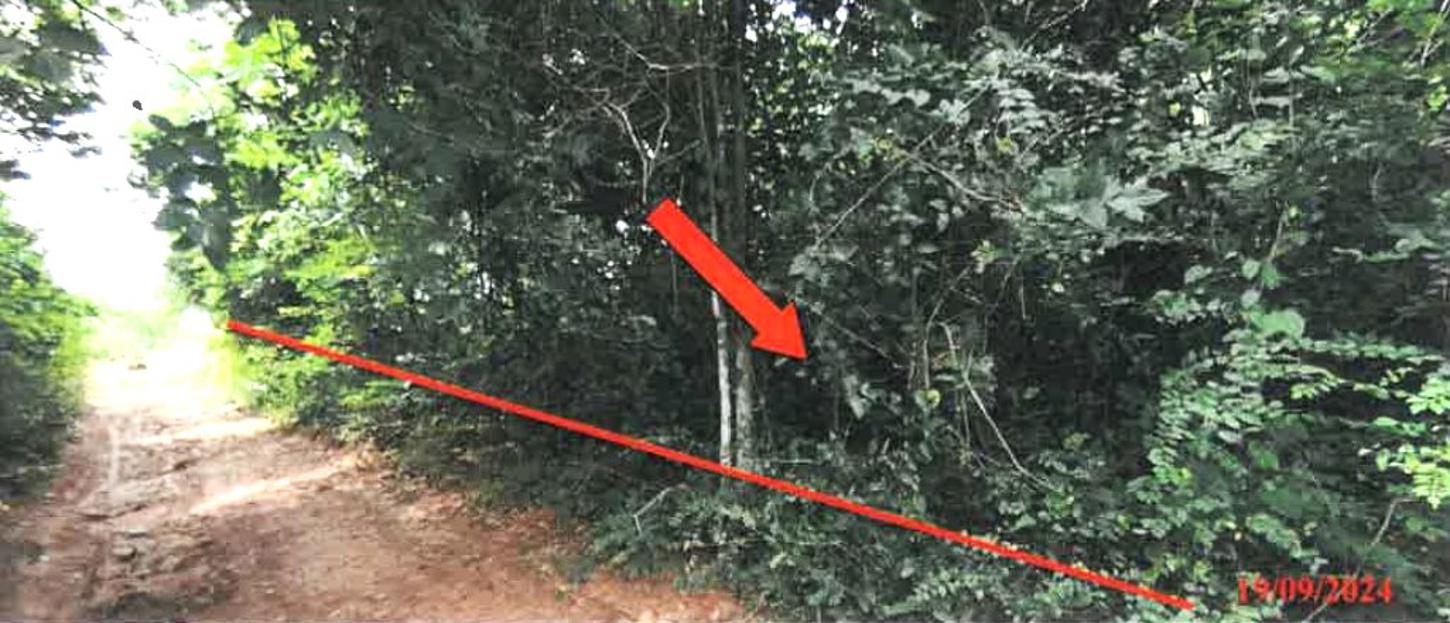 รูป ที่ดินว่างเปล่า สำหรับขาย เขาค้อแกรนด์วิลล์ นางั่ว เมืองเพชรบูรณ์ เพชรบูรณ์ - รูปที่ 34/42