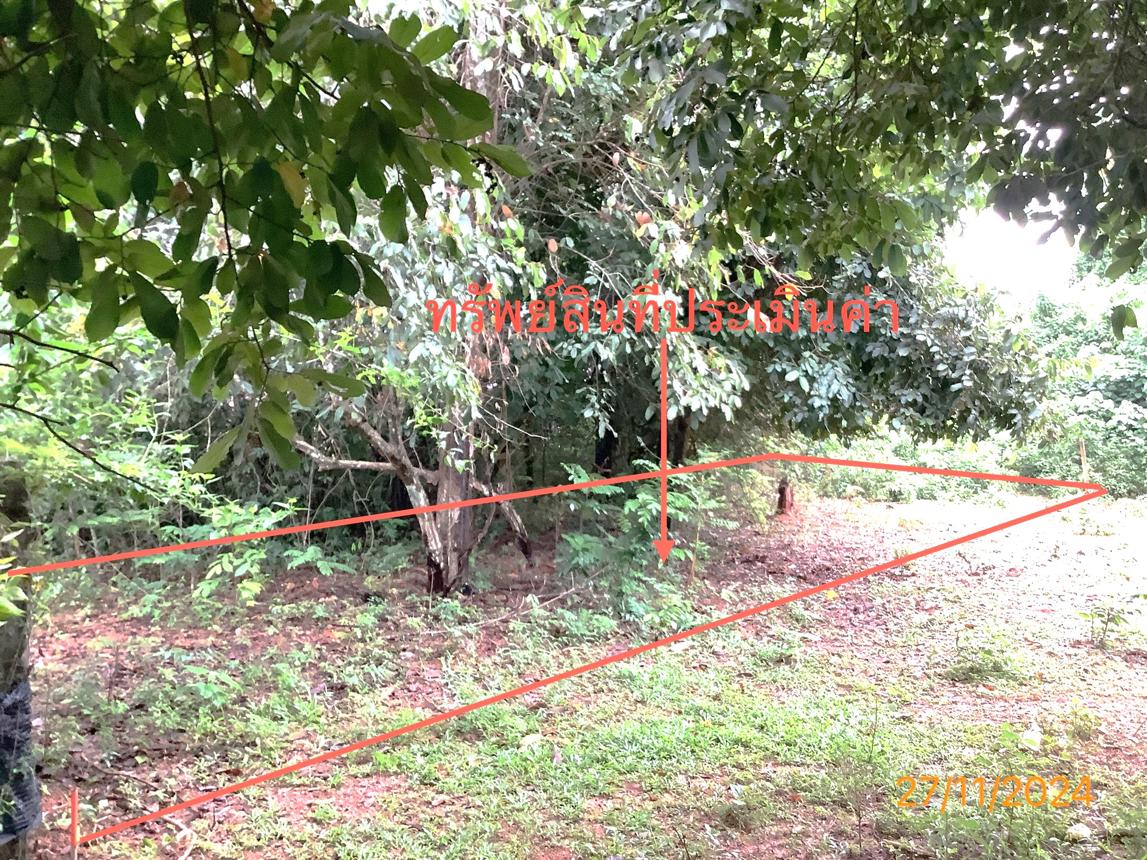 รูป ที่ดินว่างเปล่า สำหรับขาย - ทับเที่ยง เมืองตรัง ตรัง - รูปที่ 14/18