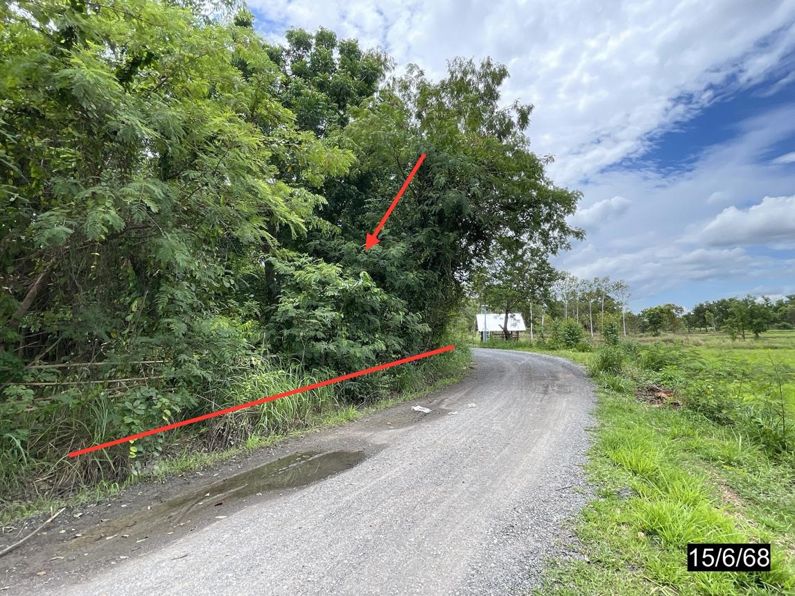 รูป ที่ดินว่างเปล่า สำหรับขาย - บ้านหว้า เมืองขอนแก่น ขอนแก่น - รูปที่ 19/24