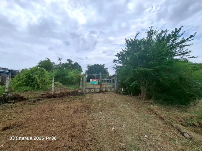 รูป บ้านเดี่ยว สำหรับขาย - ดอนยายหอม เมืองนครปฐม นครปฐม - รูปที่ 2/46