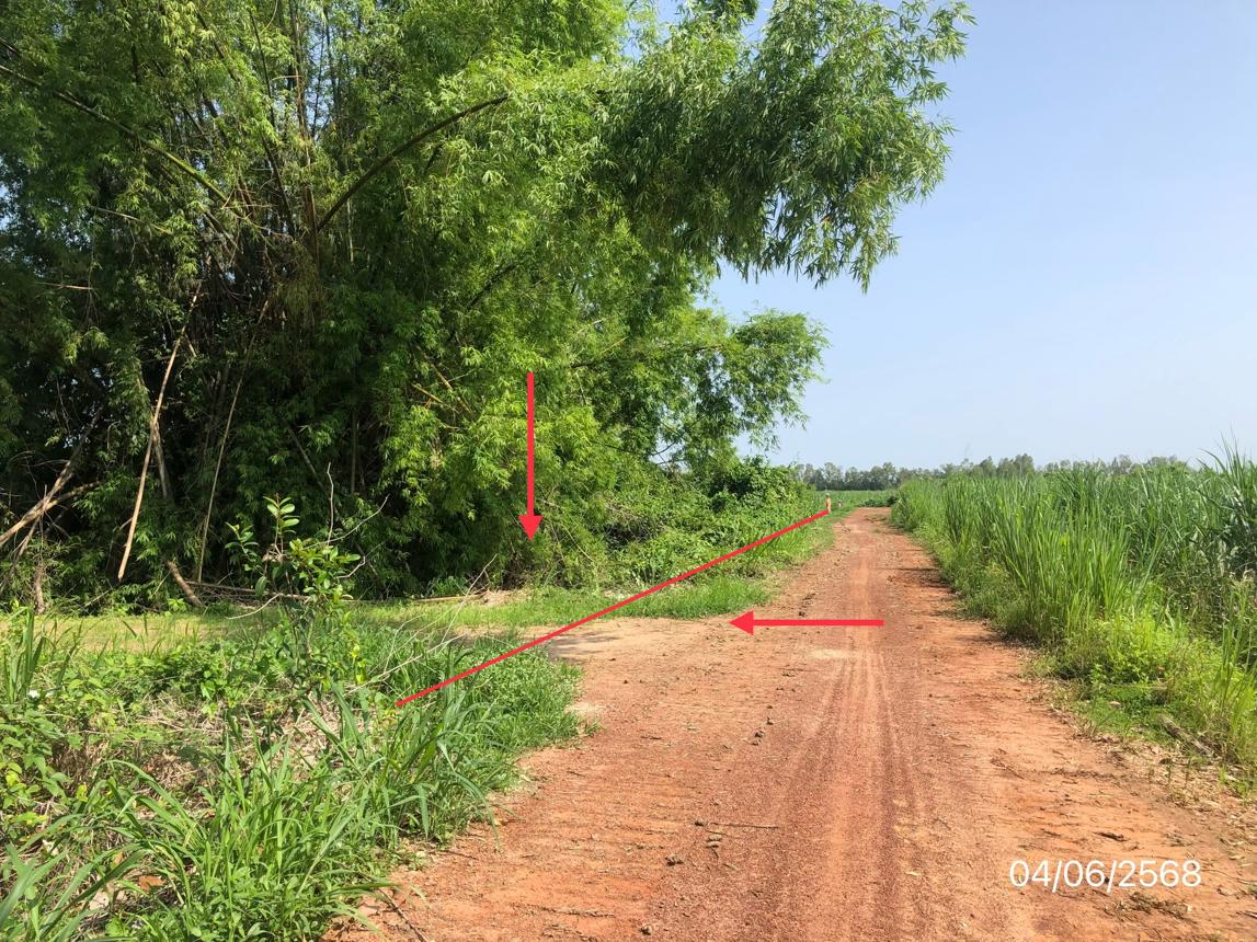 picture LAND for sale  Noen Kum Bang Krathum Phitsanulok - 16/22