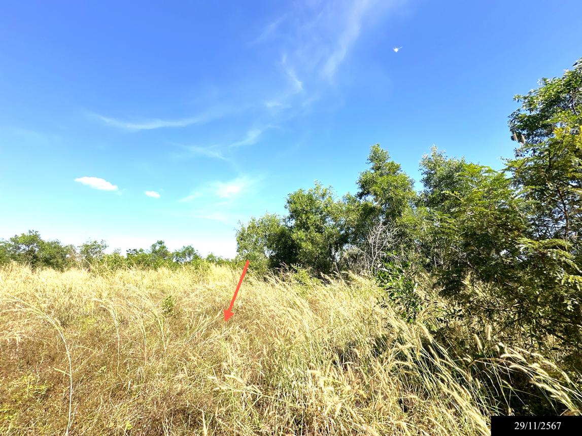 picture LAND for sale  Dong Khan Yai Kham Khuan Kaeo Yasothon - 19/24