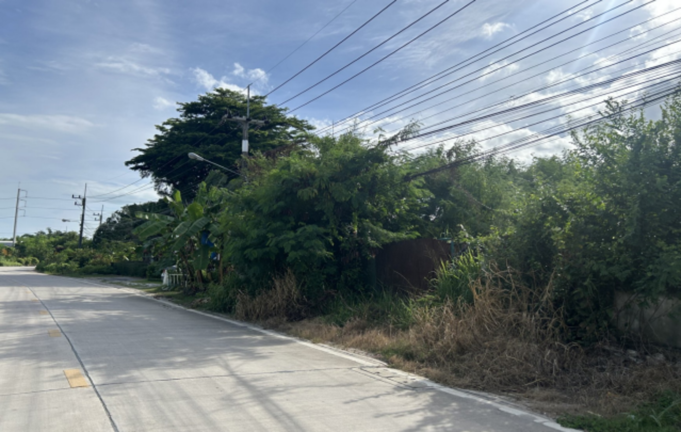 รูป ที่ดินว่างเปล่า สำหรับขาย - ห้วยโป่ง เมืองระยอง ระยอง - รูปที่ 5/10
