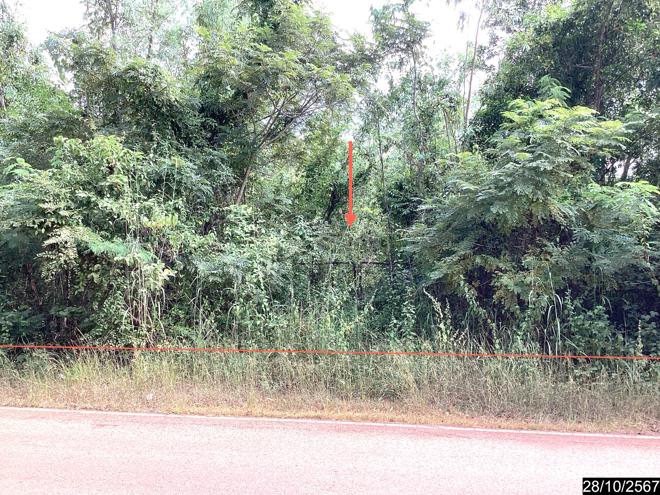picture LAND for sale  Song Hong Muang Nong Khai Nongkai - 1/28