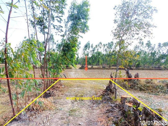 picture LAND for sale  Nam Sai Chaturaphak Phiman Roi Et - 1/14