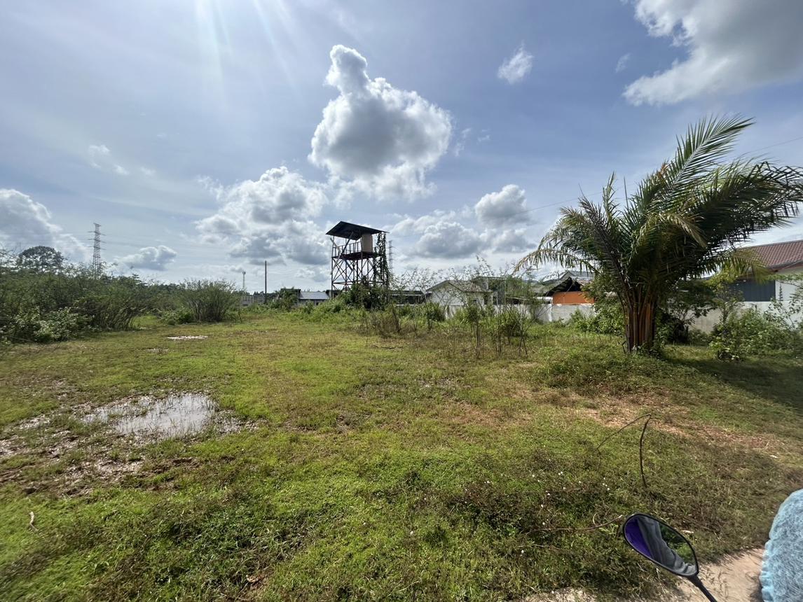 picture LAND for sale  Nong Yat Muang Nakhon Phanom Nakhon Phanom - 5/12