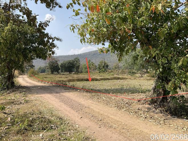 picture LAND for sale  Dong Chen Phu Kam Yao Phayao - 1/18